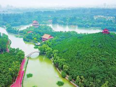 -禹州森林植物园