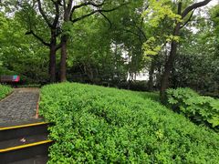 -徐家汇源景区-衡山公园