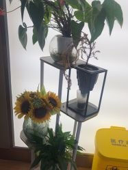 -杭州海亮医院 · 禾芸嘉医美中心