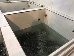 -贡椒鱼老店·雅安十大名店