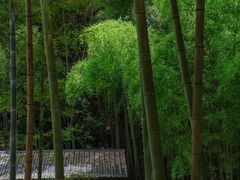 -海窝子古镇