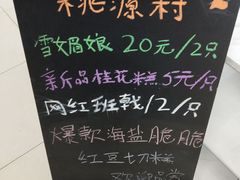 -桃源村(南大店)