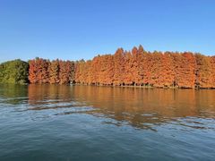 -上海海湾国家森林公园