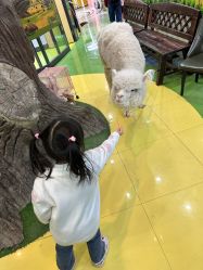 -未来动物城动物主题公园(大悦城店)