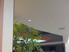 -开普墩Captain网咖俱乐部