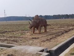 -嘉北郊野公园