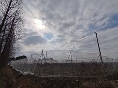 -广富林郊野公园