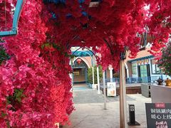 -马大胡子清真西北菜