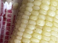 -早阳肉包(甘河路店)