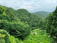 -鼓岭旅游度假区