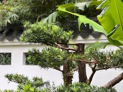 -深圳国际园林花卉博览园