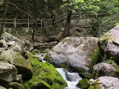 -牛背梁国家森林公园