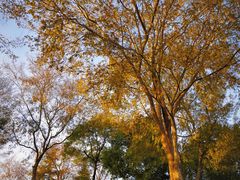 -滨湖塘西河公园