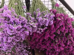 -L.C FLORA花予你(城西银泰城店)