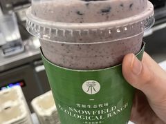 -茉酸奶(春熙路店)