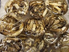 -铭聚章鱼土笋冻(松柏店)