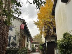 -运河游船(武林门码头)