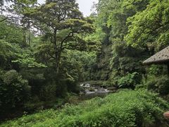 -碧峰峡风景区