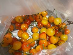 -山东大学(威海校区)