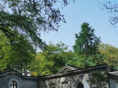 -镇江市南山风景名胜区竹林景区