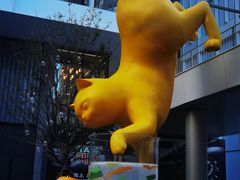 -深圳湾万象城(南山店)