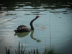-东钱湖旅游度假区