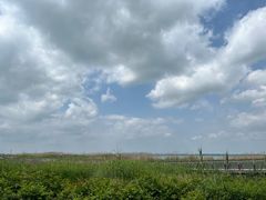 -苏州东太湖生态园