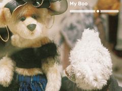 -济州岛泰迪熊博物馆