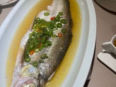 -尚一汤 广东炖汤(金桥国际店)