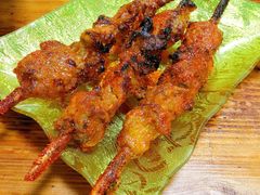 红柳木烤肉-清真新疆叶尔羌烤肉店(新香洲店)