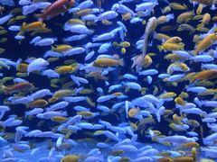 -成都浩海立方海洋公园