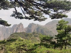 -黄山风景区