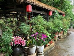 -园林美食城·本土农家菜(杨和镇店)