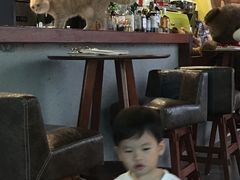 -咖法森林·咖啡  酒吧(天河店)