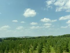 -御道口草原森林风景区