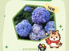 -瑞虹新天地月亮湾