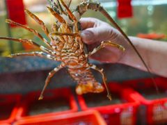 -巽寮印象美食部落餐厅·海鲜·地方特色菜(惠州体验店)