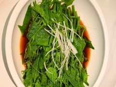 云南佛手瓜尖-七号湘(南湖路店)