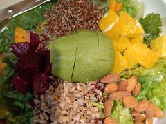 -金鼎轩(亚运村店)