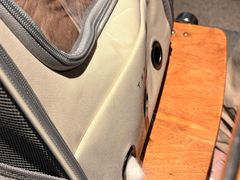 -SHAN山(前滩太古里店)