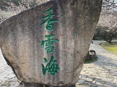 -香雪海