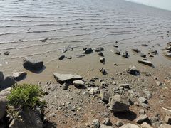 -深圳湾公园(南山区)
