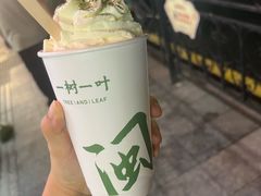 -一树一叶·福建茶档(石鼓路店)