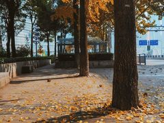 -重庆市江北嘴中央商务区中央公园