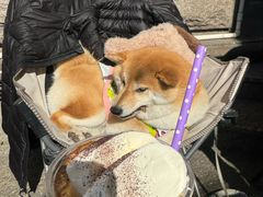 -HANA COFFEE(长寿路店)