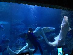 -左海海底世界