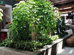 -弘安丽水温泉酒店
