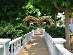-百万葵园