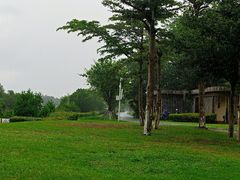 -万绿园