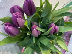 -循礼门鲜花花市(武汉循礼门店)